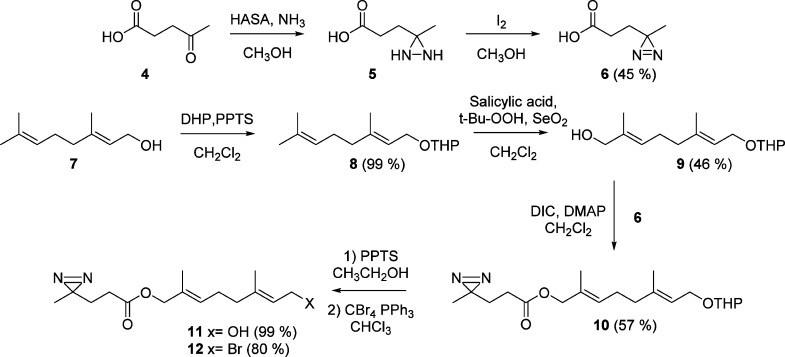 Scheme 1