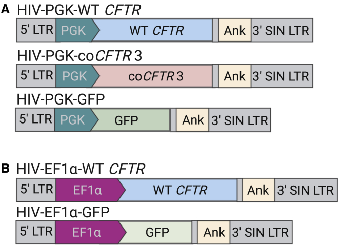 Figure 1