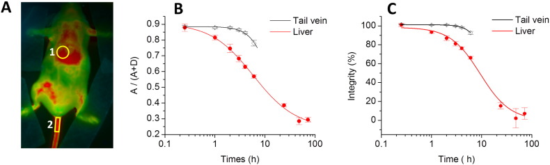 Fig. 6