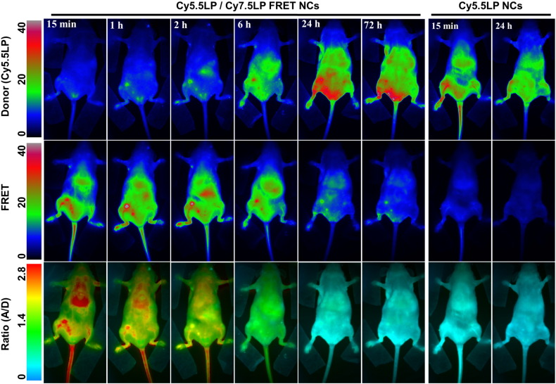 Fig. 4