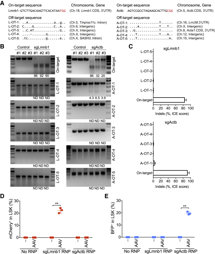 Figure 2