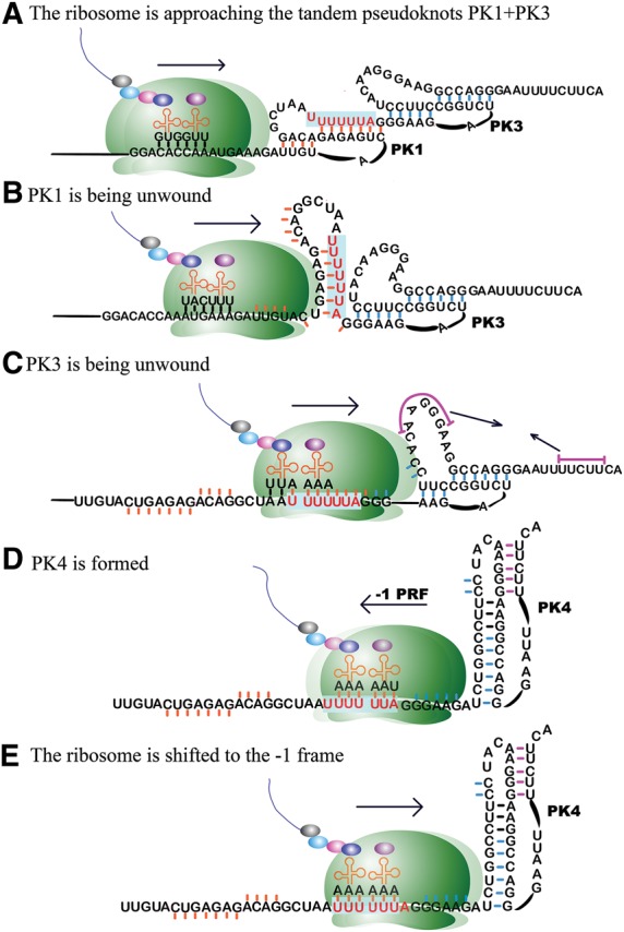 FIGURE 2.