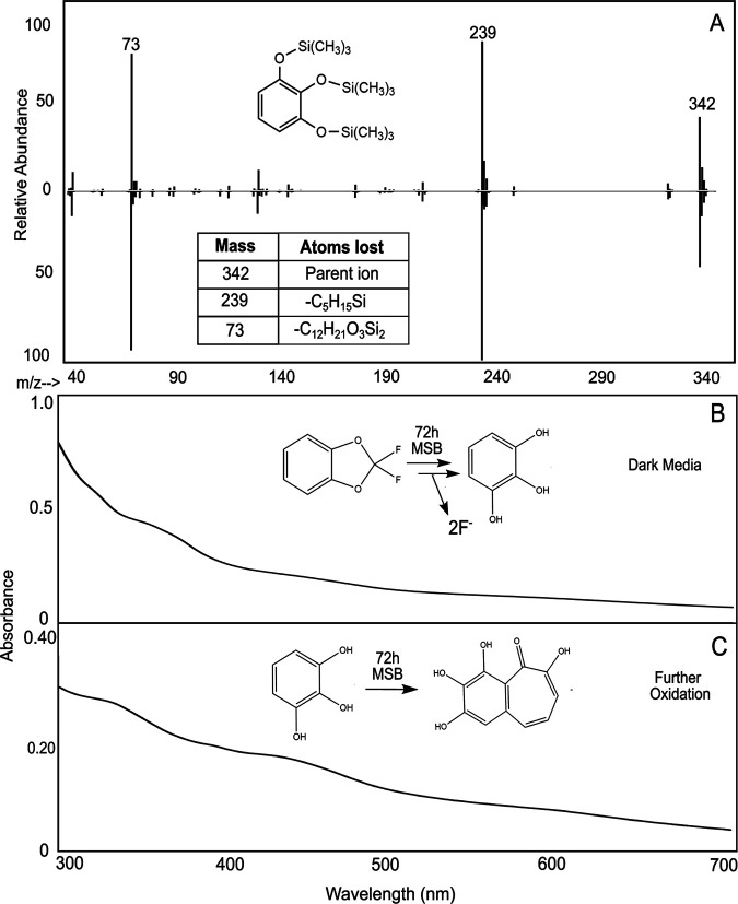 FIG 6