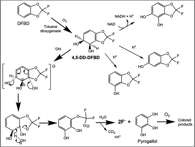 FIG 7