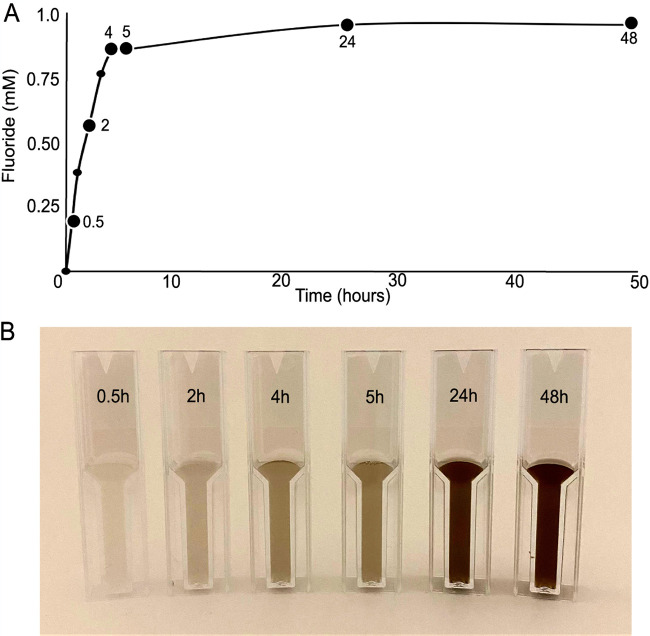 FIG 2