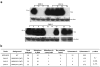 Extended Data Figure 7