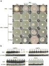 Extended Data Figure 10