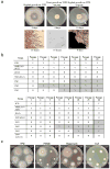 Extended Data Figure 1