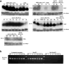 Extended Data Figure 2