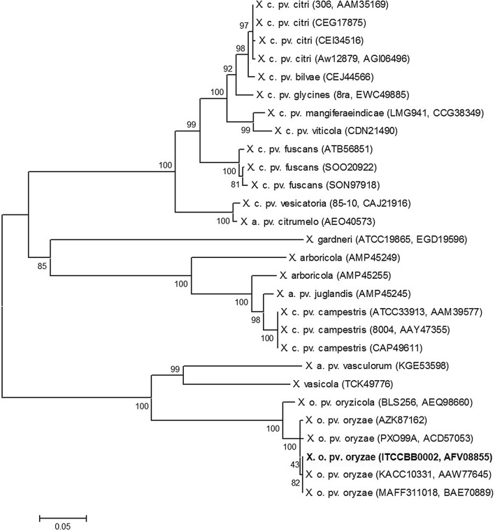 Fig. 1