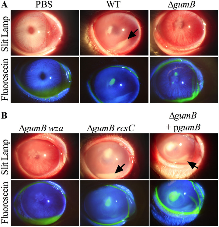 FIG 3