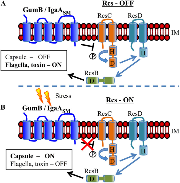 FIG 1