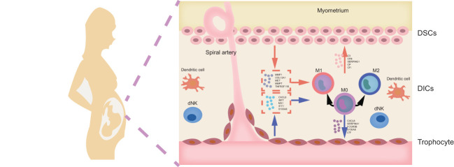 Figure 12
