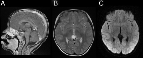 Figure 1