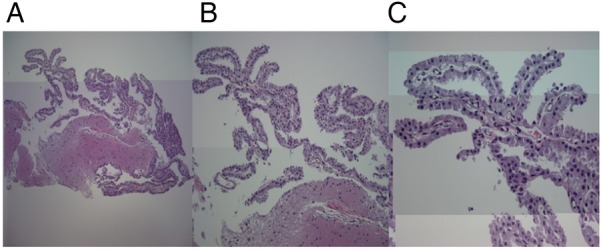 Figure 2