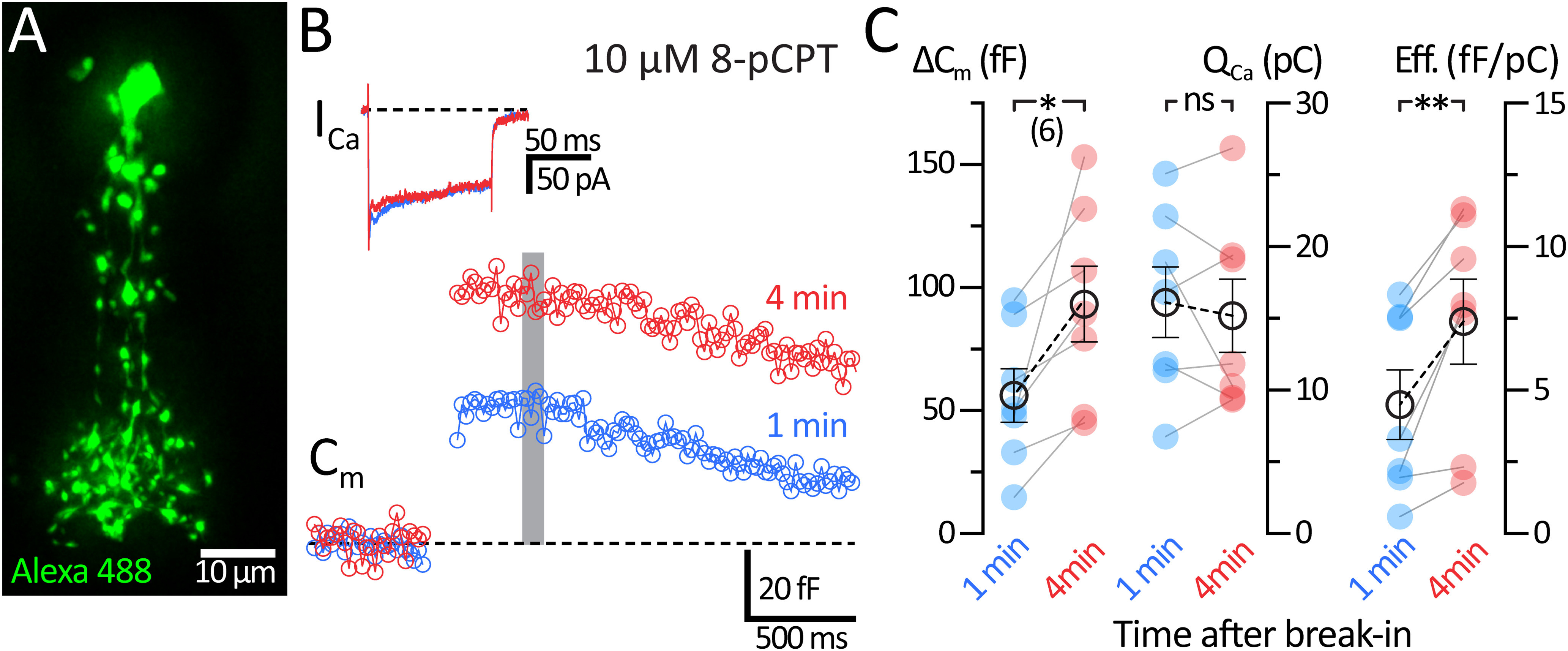 Figure 9.