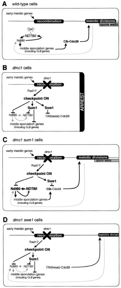 FIG. 5.