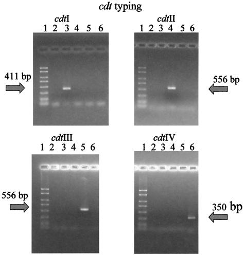 FIG. 2.