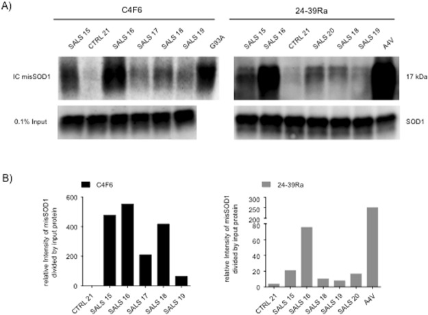 Figure 6