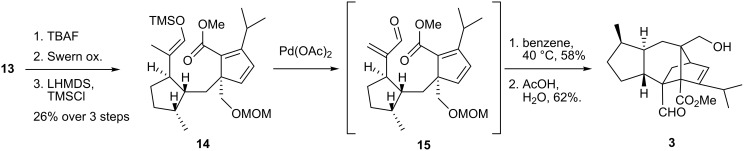 Scheme 3