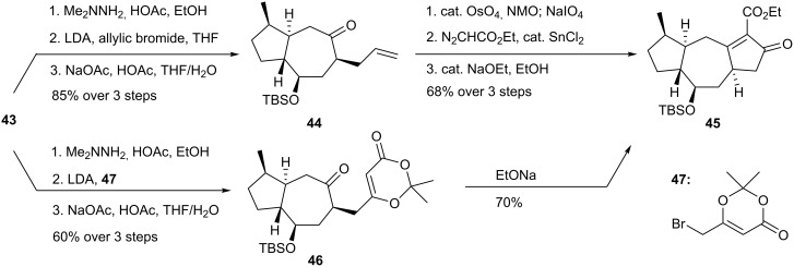 Scheme 9