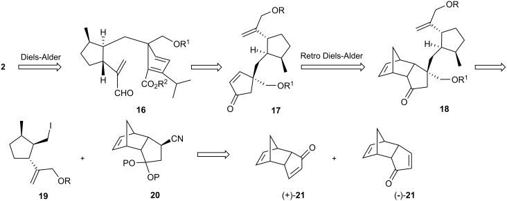 Scheme 4