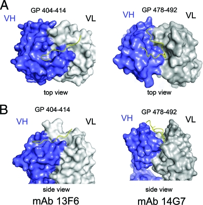 Fig 6