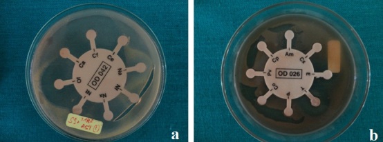 [Table/Fig-6a,b]: