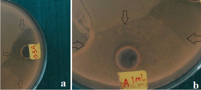 [Table/Fig-5a,b]: