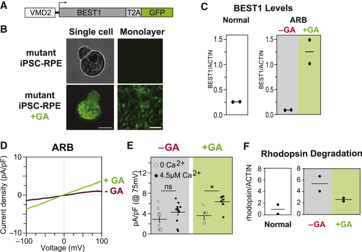 Figure 2