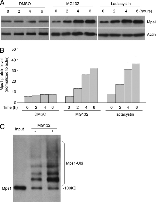 FIGURE 1.