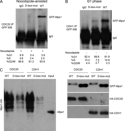 FIGURE 7.