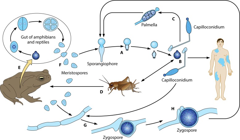 FIG 6