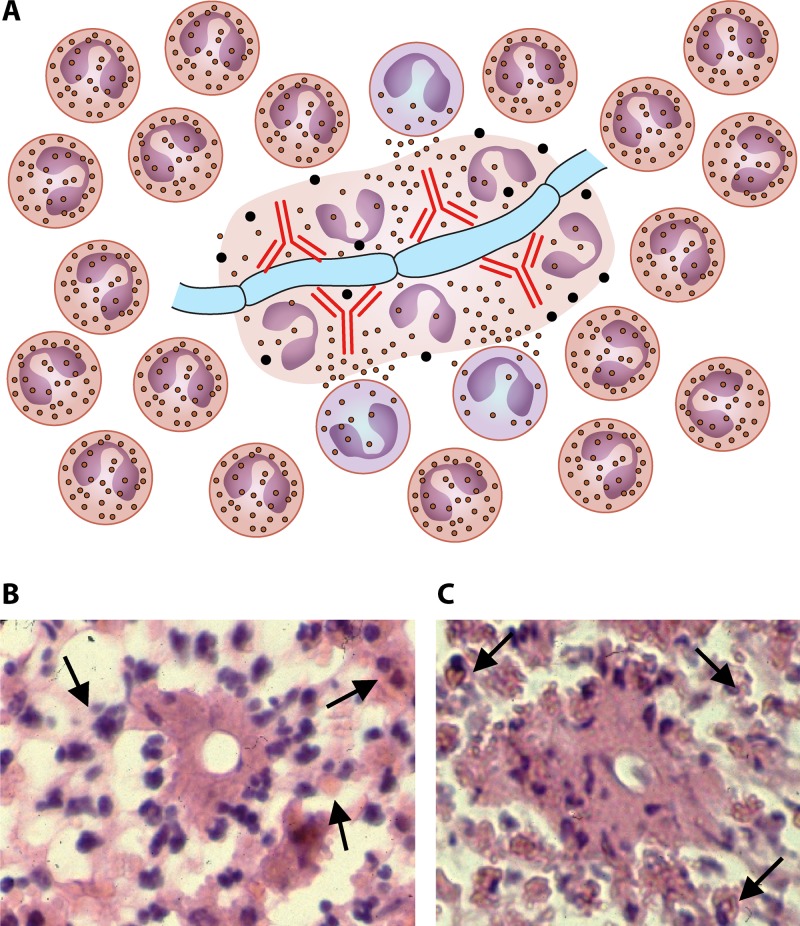 FIG 10