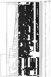 FIG.1.