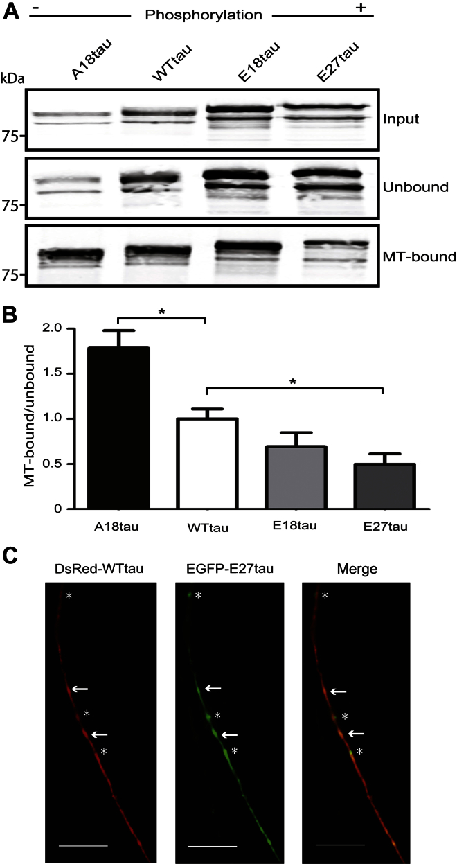 Fig. 3