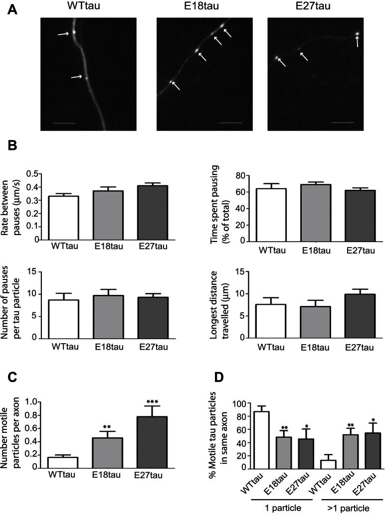 Fig. 4