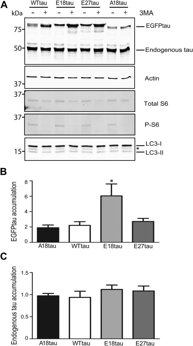 Fig. 6