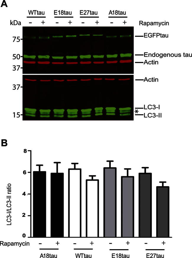 Supplementary Fig. 2