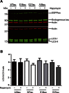 Supplementary Fig. 2
