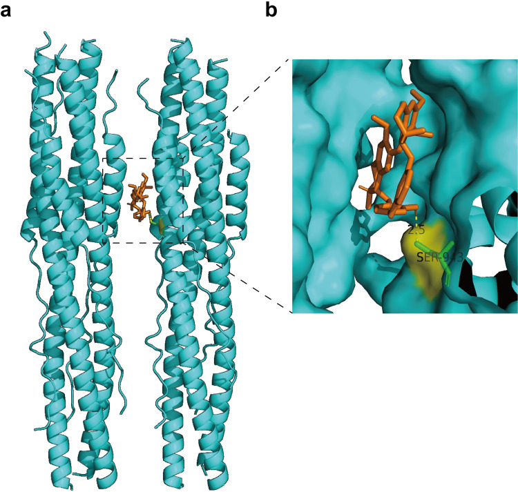 Fig 5