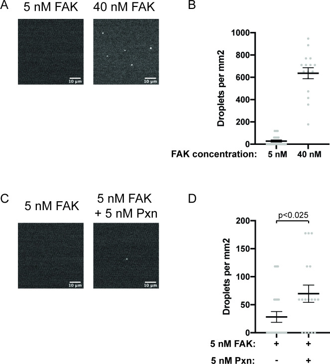 Figure 2—figure supplement 2.