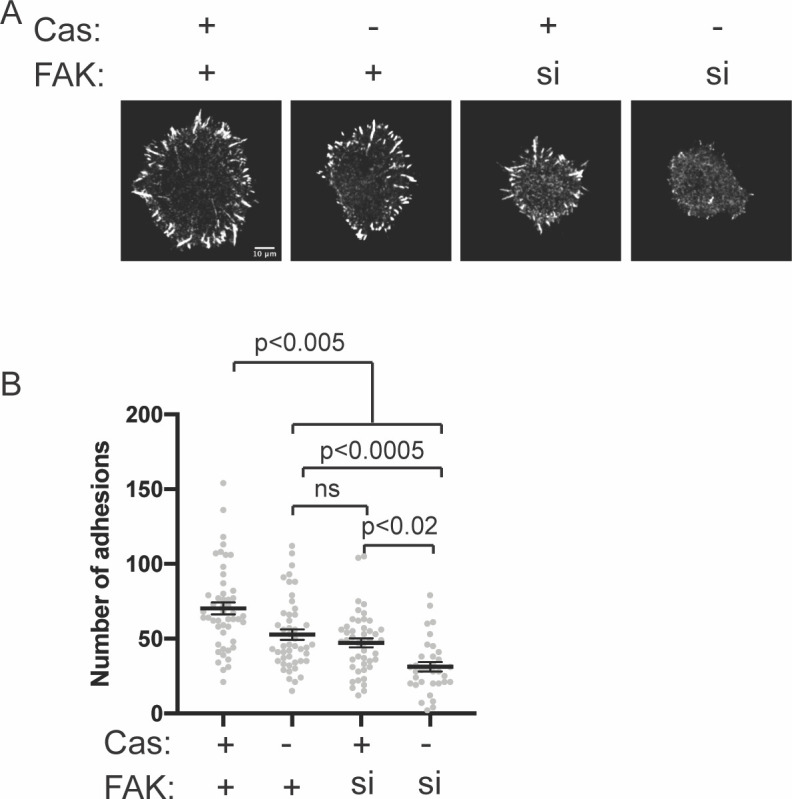 Figure 8—figure supplement 2.