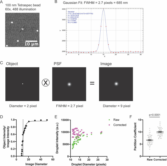 Figure 1—figure supplement 5.