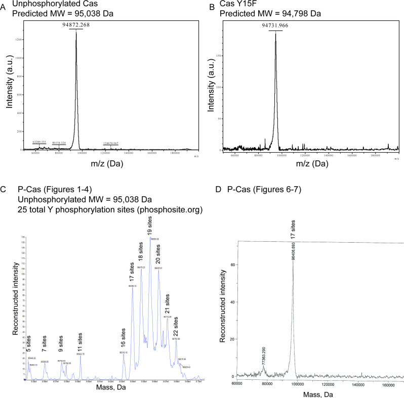 Figure 1—figure supplement 3.