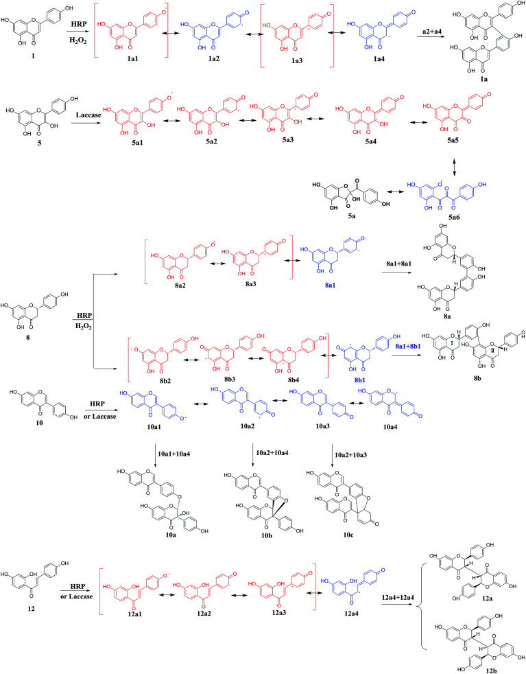 Scheme 1