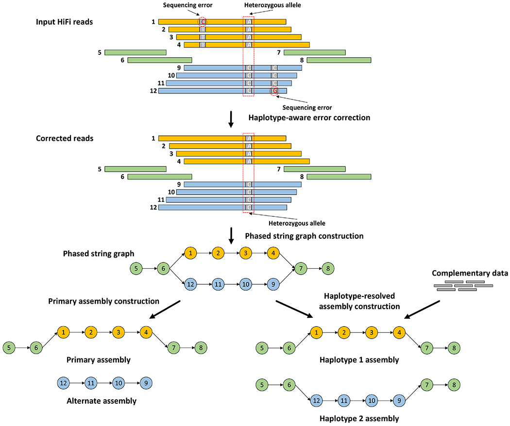 Figure 1: