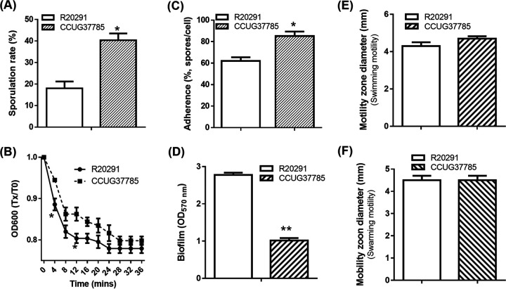 FIG 6