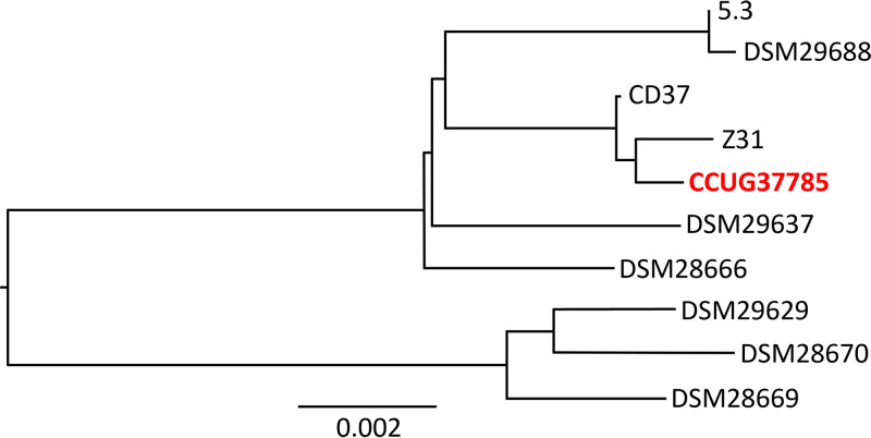 FIG 3