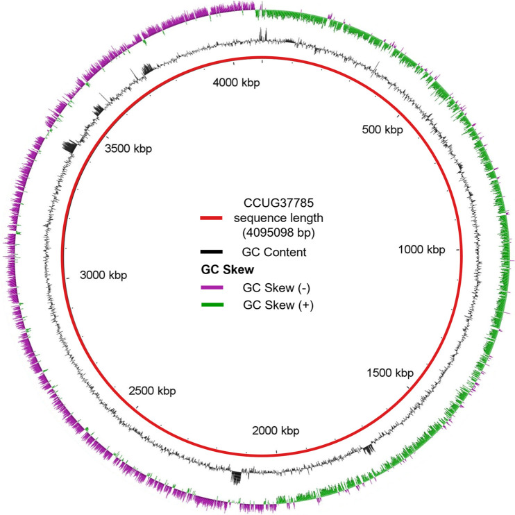 FIG 1